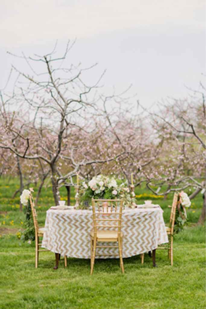 Elopement poročna postavitev na domačem vrtu v cikcak poročni temi. Foto: Simply Lace Photography